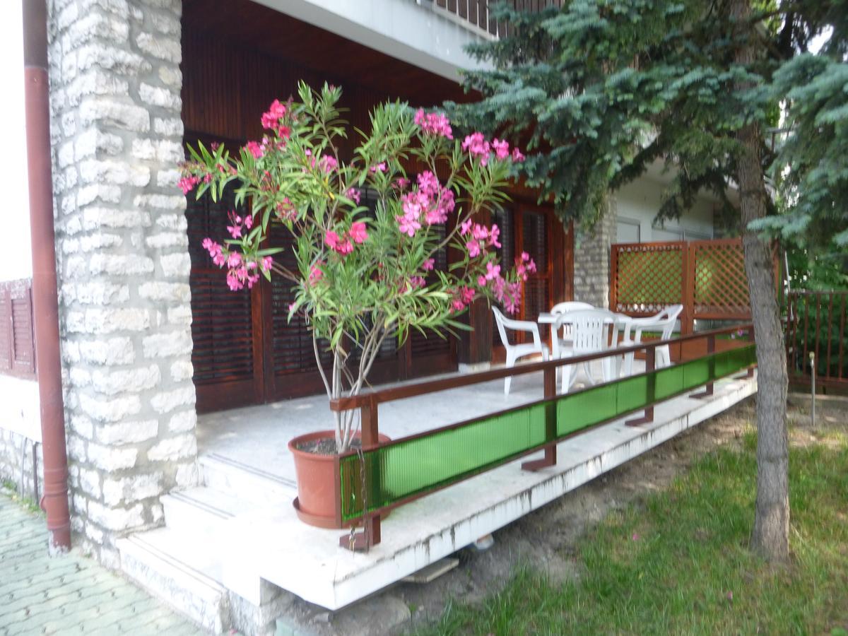 Oleander Holiday House Siófok Rom bilde